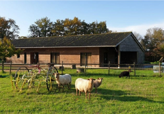 Centre de médiation animale Ter’Anima