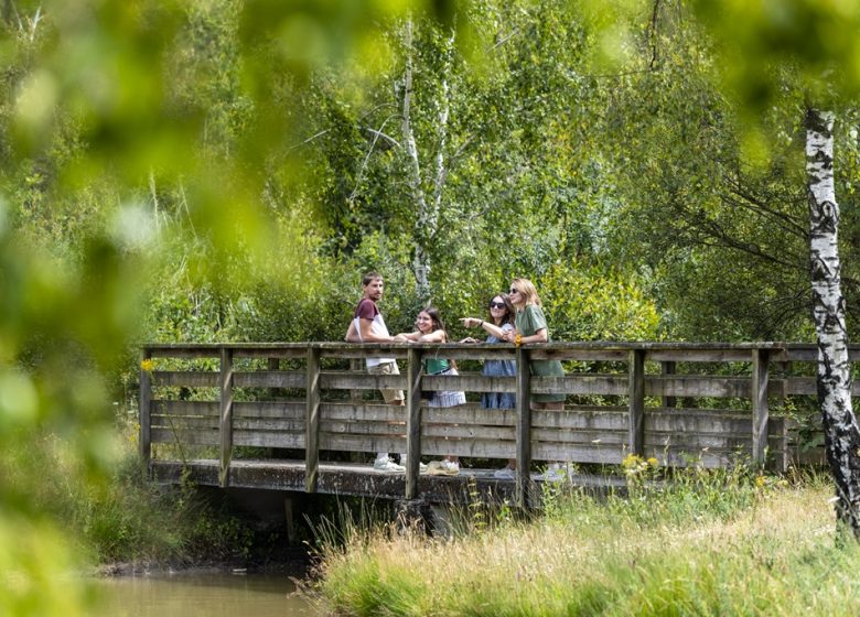Pêche à l’étang des bruyères au Fuilet