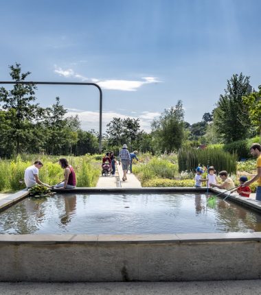 Initiation aux milieux aquatiques et ornithologiques de la Loire
