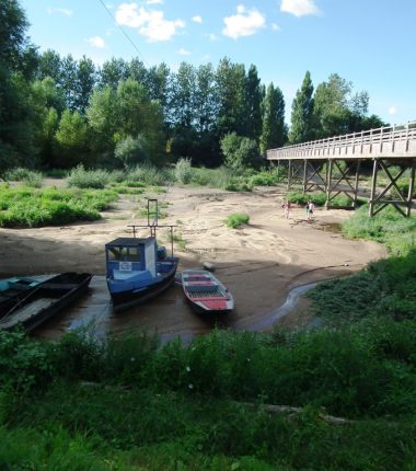 Pêche dans les boires de la Griserie, Chapoin et Queue de la Luce
