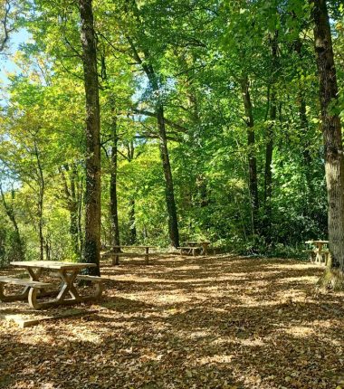 Aire de pique-nique de la Vallée du Graau