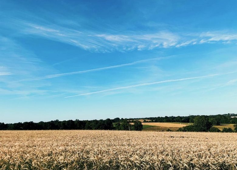 Gîte de la Grange de la Petite Félixière