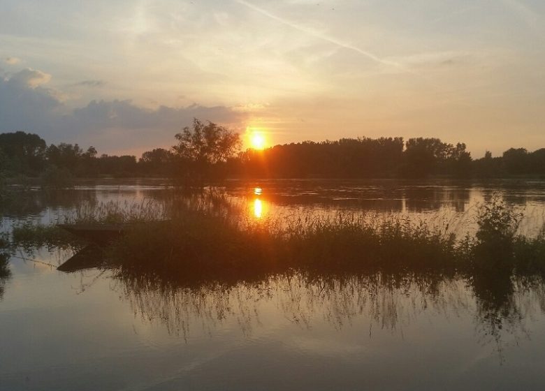 Chambre d&rsquo;hôte Bed Loire