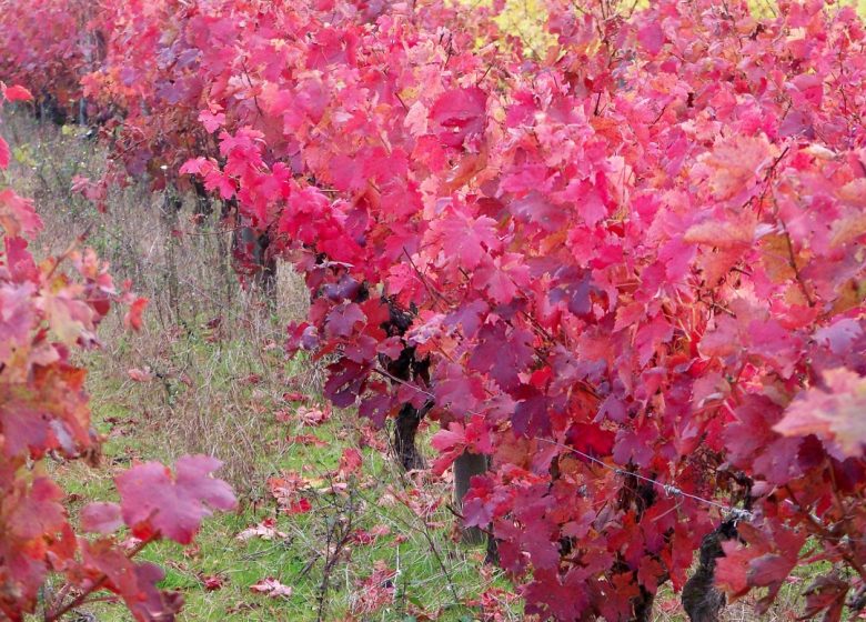 Chambres d&rsquo;hôtes La Génoise