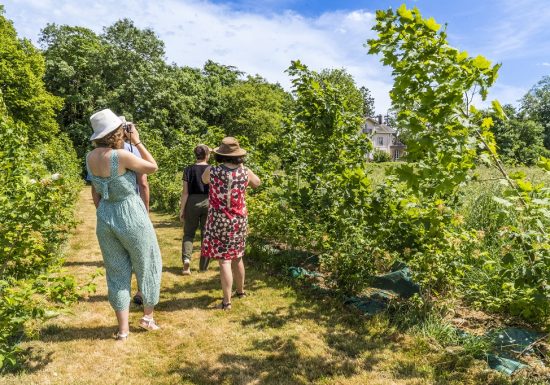 Château de la Tourlandry