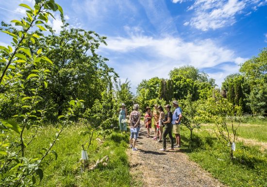 Château de la Tourlandry