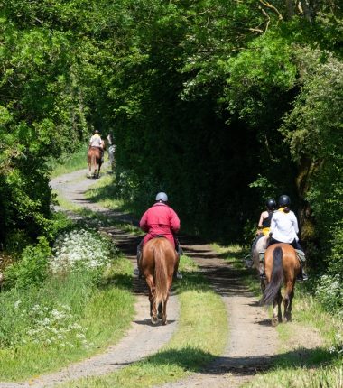 Ferme Équestre de la Pétinière