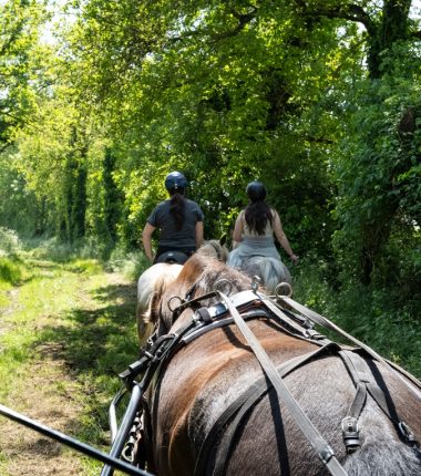 Haras de la Salmonière