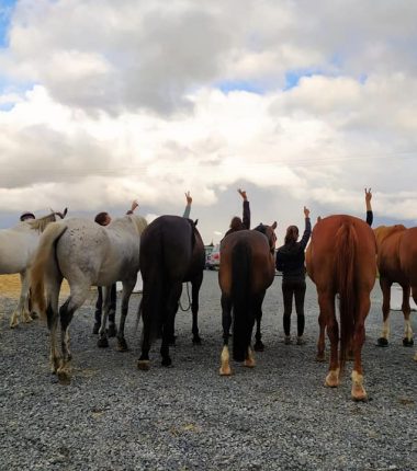 Centre équestre des coteaux du jeu
