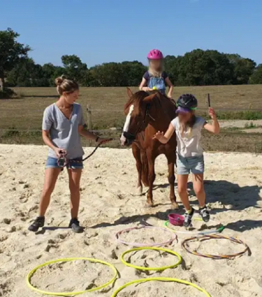 Équimotricité© Ter’Anima