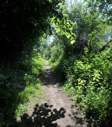 Bena – balade en nature accompagnée