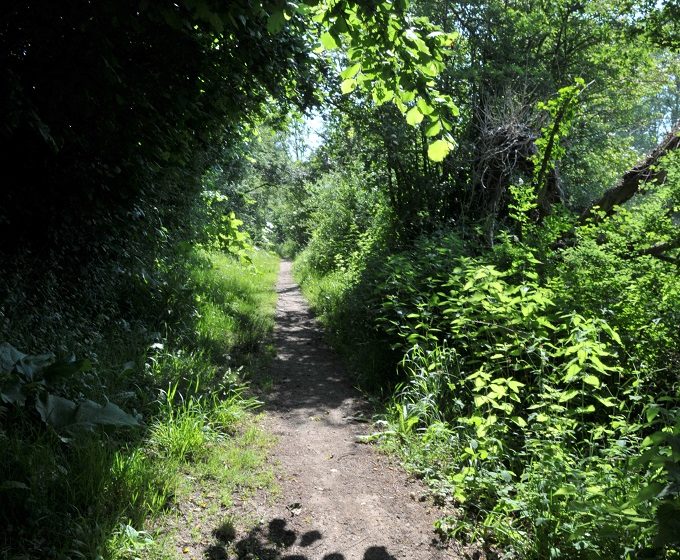 Bena – balade en nature accompagnée