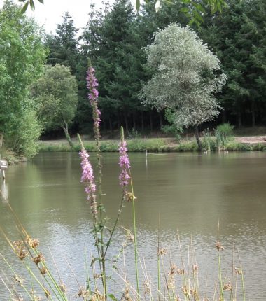 Etang de pêche de la Foucaudière