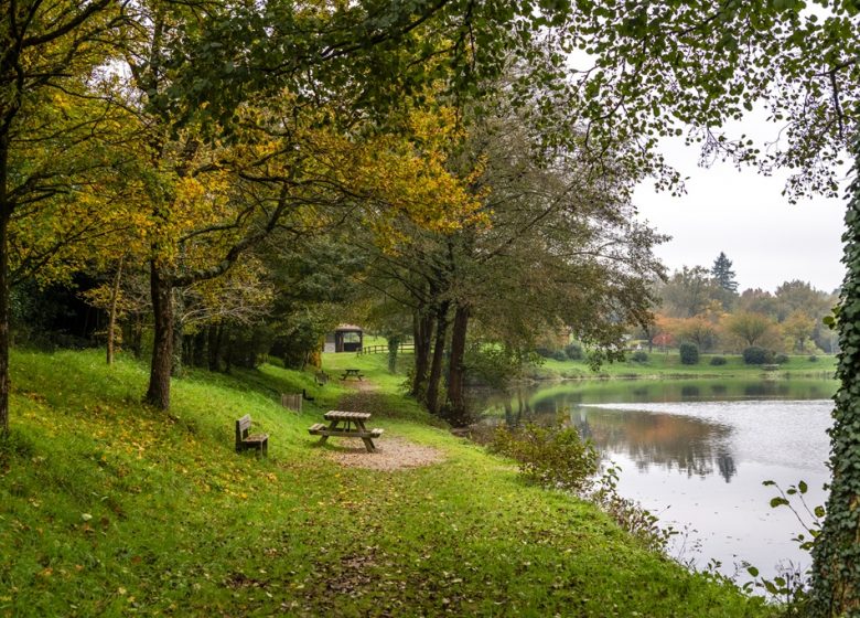 Etang de pêche de Rochefort