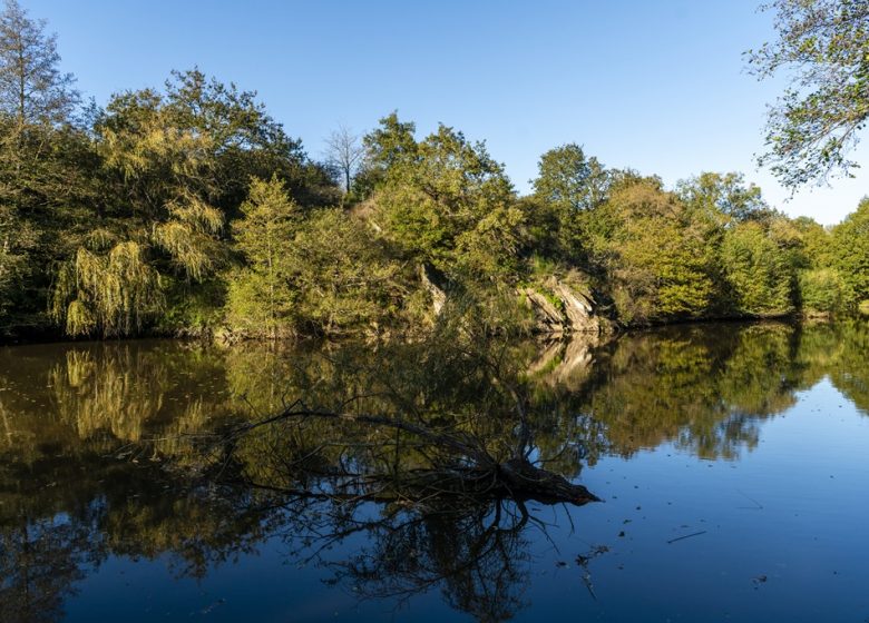 Etang de pêche de Rochefort