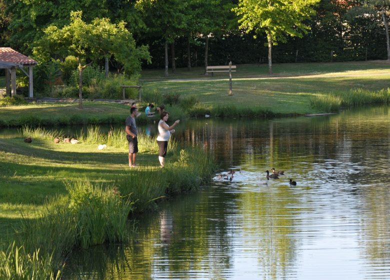 Pêche au plan d’eau de St André de la Marche