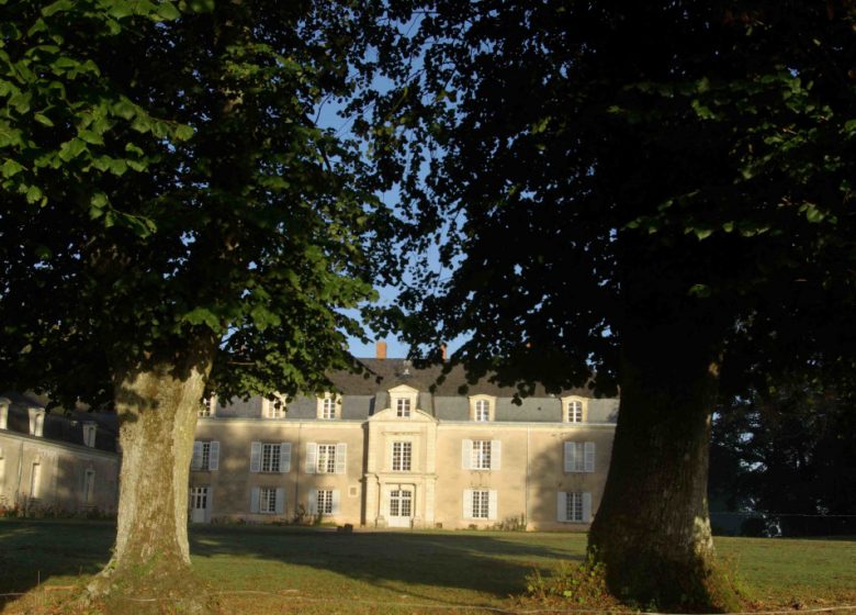 Château de Piedouault