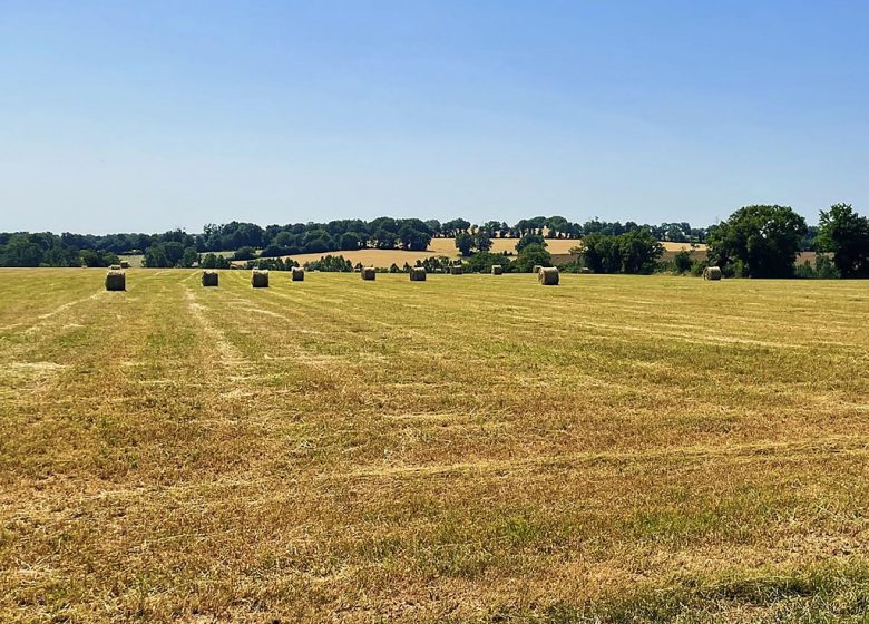 Gîte de la Grange de la Petite Félixière