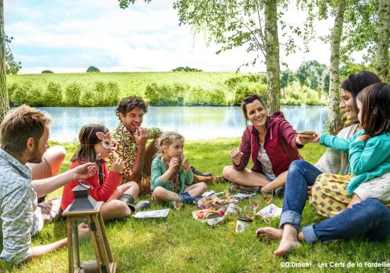 Les cerfs de la Fardelière