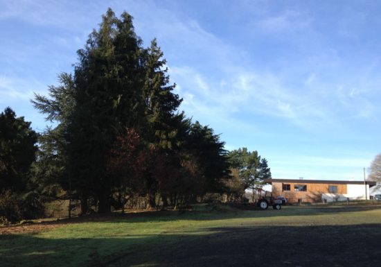 Aire d’accueil de campeurs des Hautes Herbes