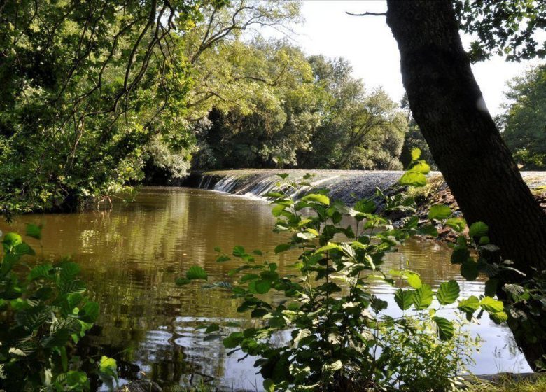 GITE L’ACACIA DU MOULIN DE BRAIMBOEUF