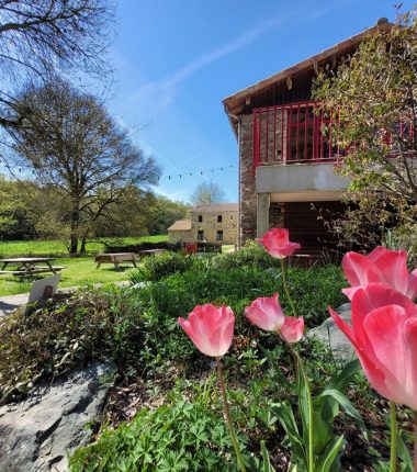Guinguette Au Moulin