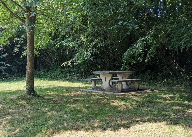 Pêche au Hameau de l’Evre à Montrevault