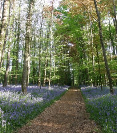 Parcours d’Orientation