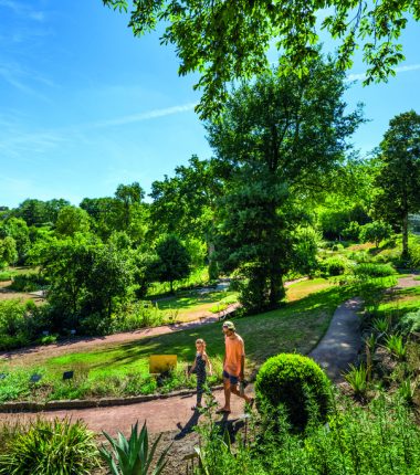 Immersion végétale au fil des saisons