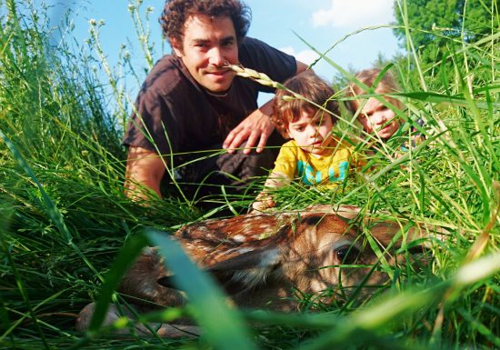 Les cerfs de la Fardelière