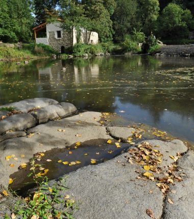 Pêche au chemin du Foulon