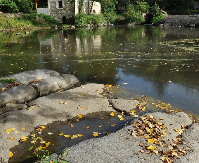 Pêche au chemin du Foulon