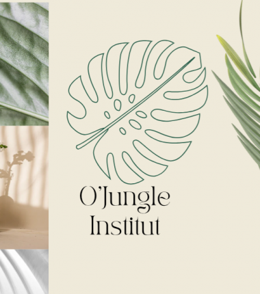O&rsquo;Jungle Institut