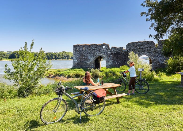 LOCATION VÉLO L.A. KAYAK EN BORD DE LOIRE