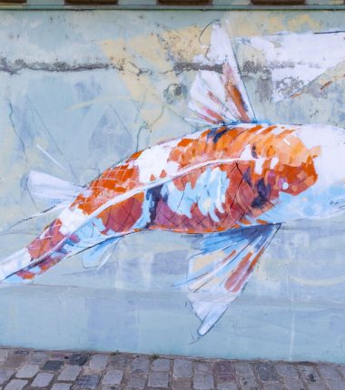 Les carpes du pont de Montjean-sur-Loire