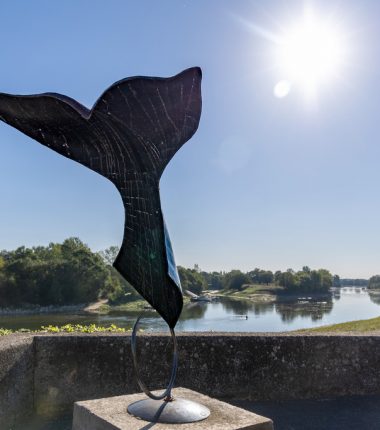 Élémentaire mon cher Watson !