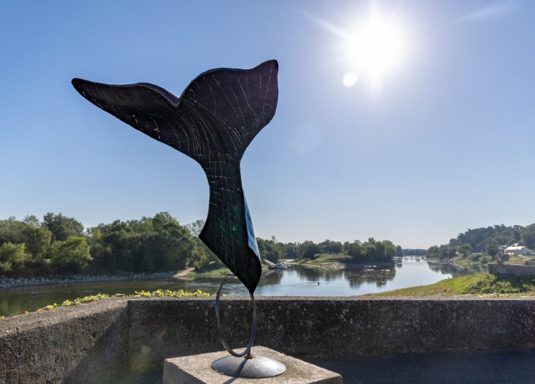 Élémentaire mon cher Watson !