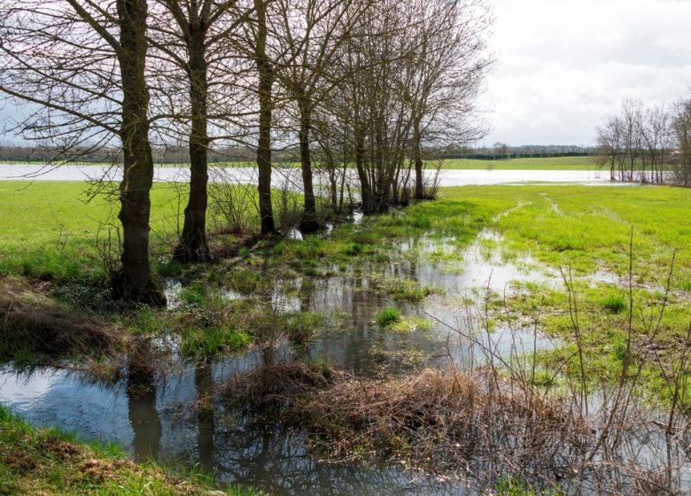 MONTJEAN SUR LOIRE