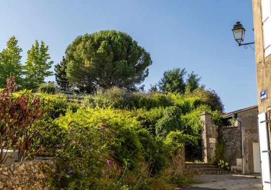 Montfaucon Montigné