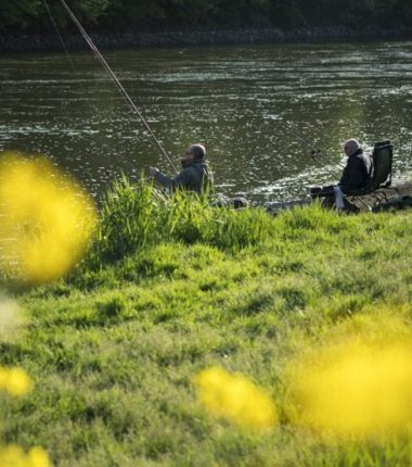 Étang de pêche de Coulvée