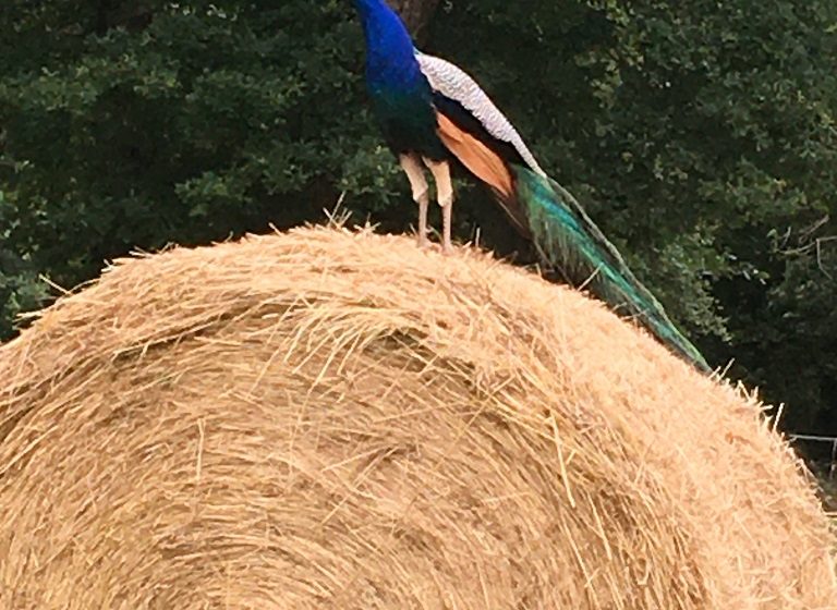 Studio de L&rsquo;atelier