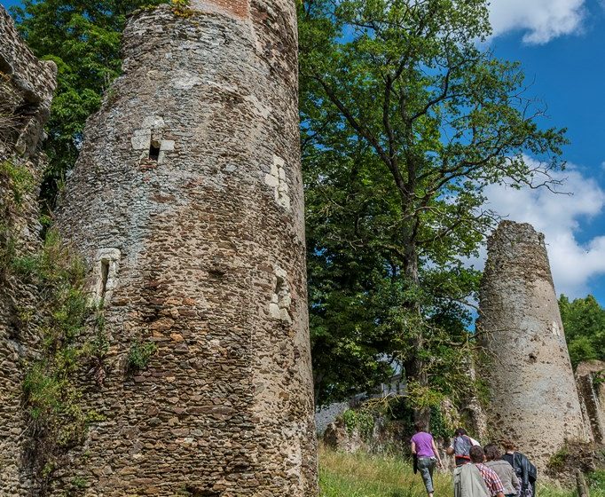 RUINES DU MANOIR DE LA TURMELIERE