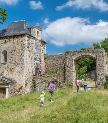 Ruines du Manoir de la Turmelière