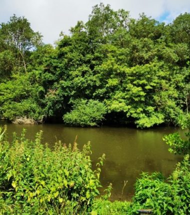 Parcours pêche de Coulaines