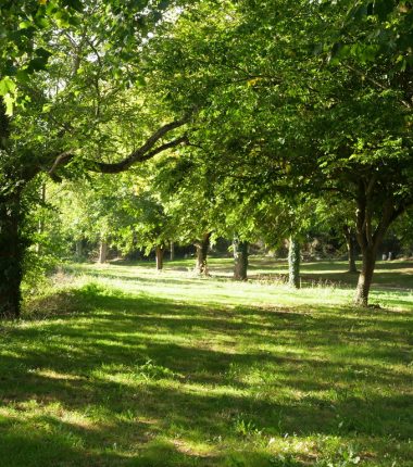 Parcours pêche de Haute Brin