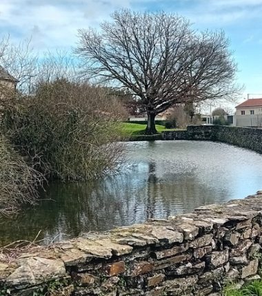 Pêche dans le plan d’eau de la Loge