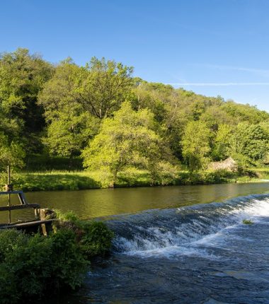 Parcours pêche de Torfou