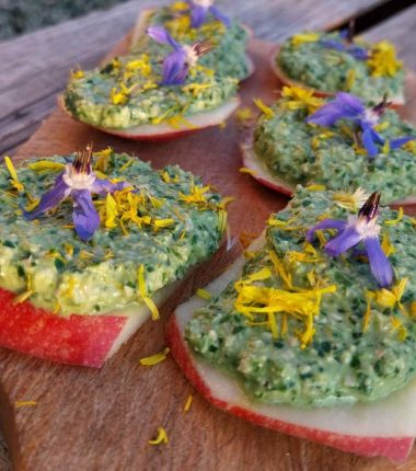 Découverte des plantes sauvages comestibles