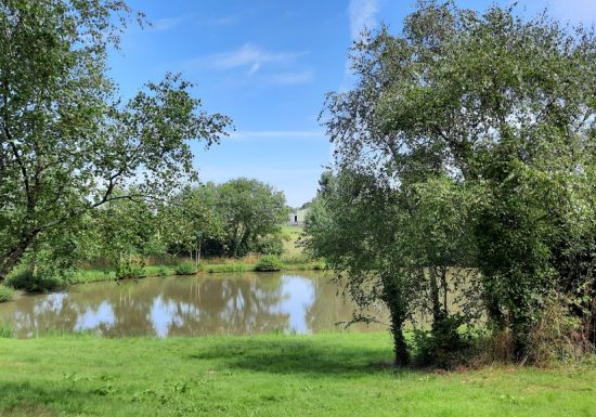Etang de pêche à la Pierre Tournisse