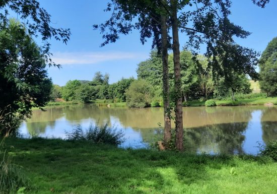 Etang de pêche à la Pierre Tournisse